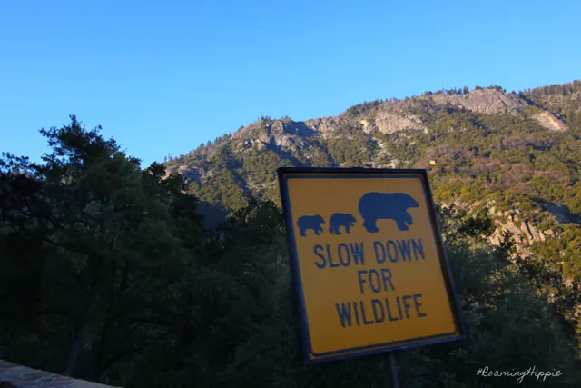 A yellow 'Slow down for wildlife' sign with bears, in the mountains