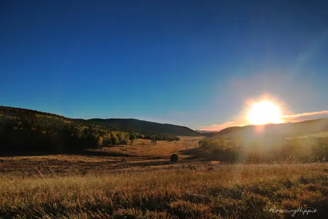 The sun setting behind low hills over a golden meadow