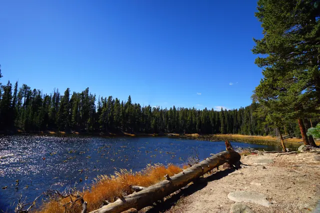 A blue mountain lake ringed by pine forest